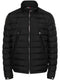 Alfit hooded down jacket