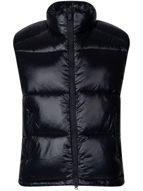 Ailantus gilet