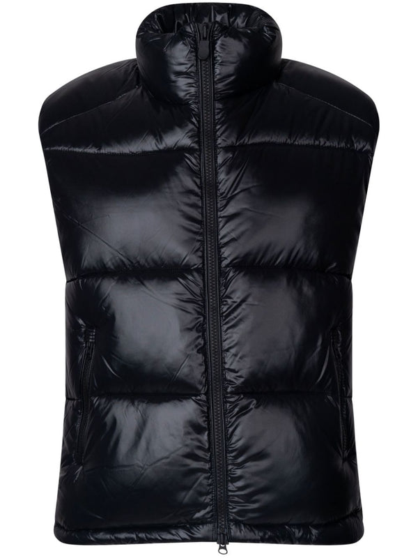 Ailantus gilet