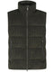 padded gilet