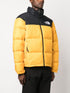 1996 Retro Nuptse puffer jacket