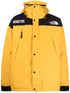 Gore-Tex Mountain Guide insulated jacket