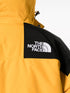 Gore-Tex Mountain Guide insulated jacket