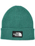 box-logo cuffed beanie