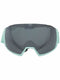 Magne'lens ski goggles
