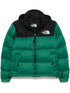 1996 Retro Nuptse puffer jacket