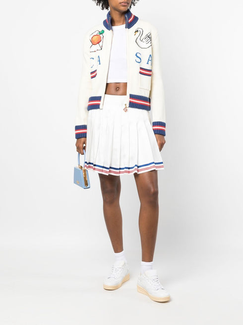 pleated striped-border skirt