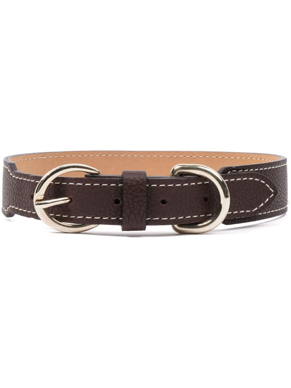 double-buckled leather dog collar