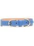 leather pet collar
