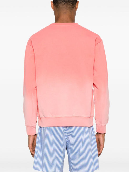 Wellness Ivy cotton sweatshirt