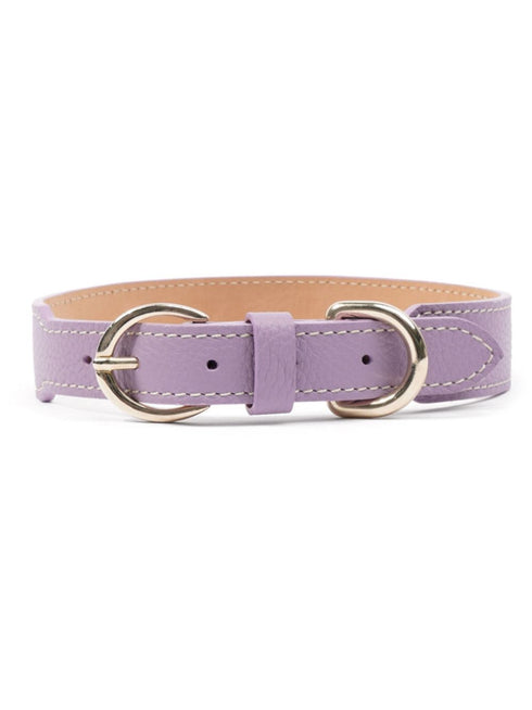 double-buckled leather dog collar