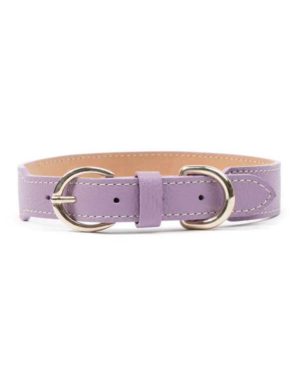 double-buckled leather dog collar