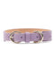 double-buckled leather dog collar