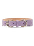double-buckled leather dog collar