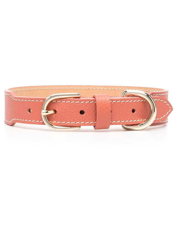 leather pet collar