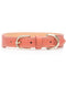 leather pet collar