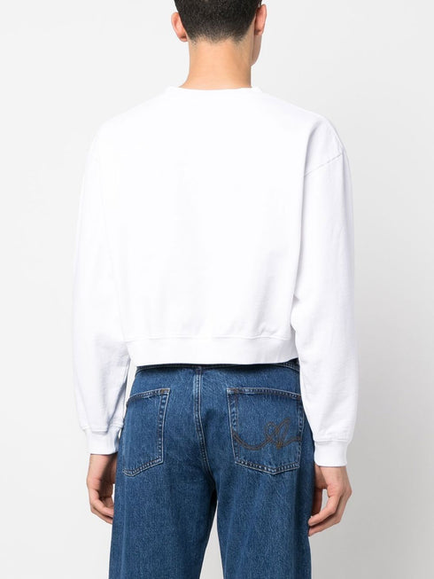 Wellness Ivy cropped sweatshirt