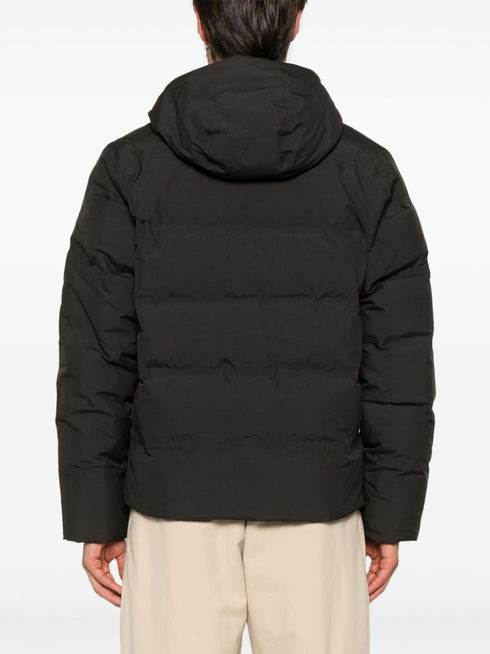 Jackson Glacier jacket